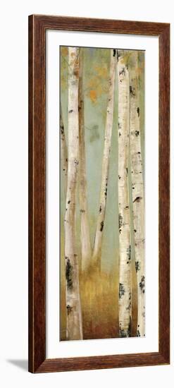 Eco Panel II-Andrew Michaels-Framed Art Print