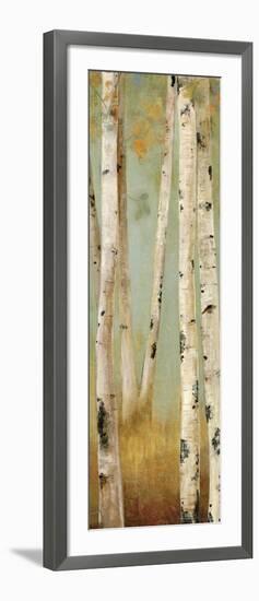 Eco Panel II-Andrew Michaels-Framed Art Print