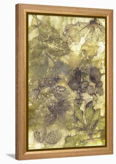 Eco Print I-Kathryn Phillips-Framed Stretched Canvas