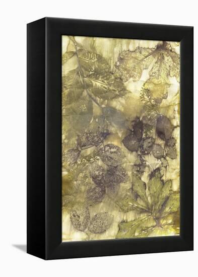 Eco Print I-Kathryn Phillips-Framed Stretched Canvas