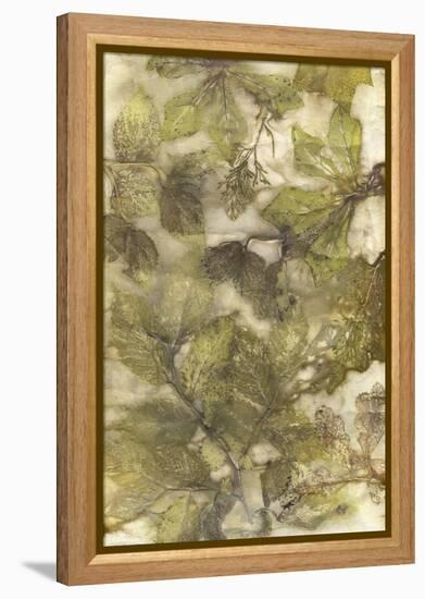 Eco Print III-Kathryn Phillips-Framed Stretched Canvas