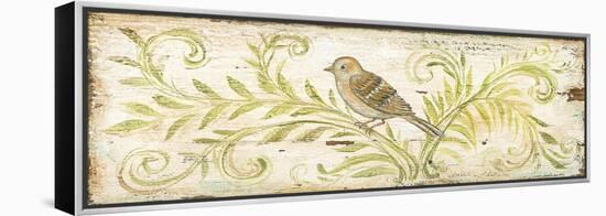 Eco Sparrow-Kate McRostie-Framed Stretched Canvas