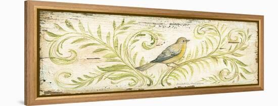 Eco Warbler-Kate McRostie-Framed Stretched Canvas