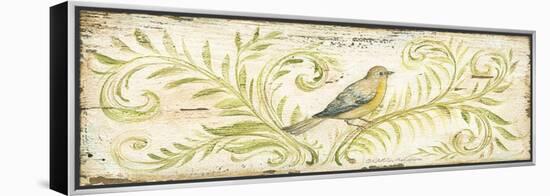 Eco Warbler-Kate McRostie-Framed Stretched Canvas