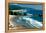 Ecola State Park III-Ike Leahy-Framed Premier Image Canvas