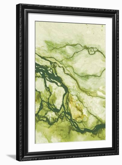 Ecology I-Peter Adams-Framed Giclee Print