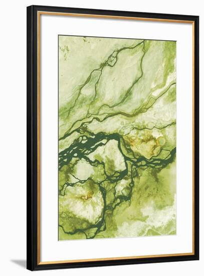Ecology II-Peter Adams-Framed Giclee Print