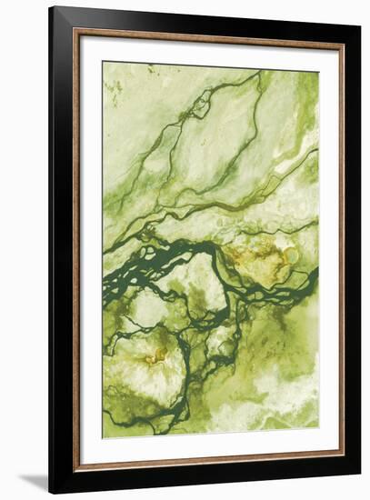 Ecology II-Peter Adams-Framed Giclee Print