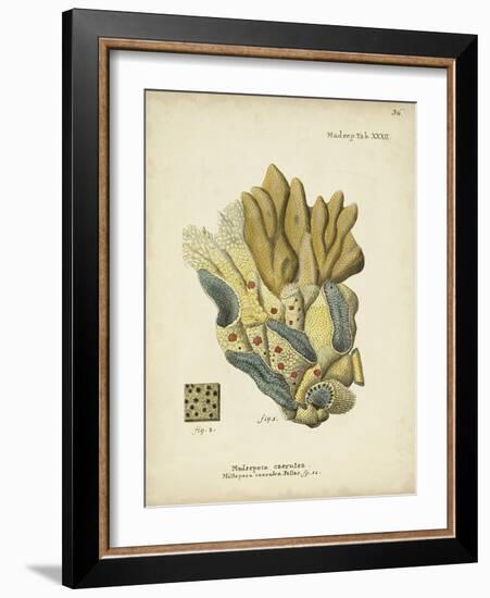 Ecru Coral III-Johann Esper-Framed Art Print