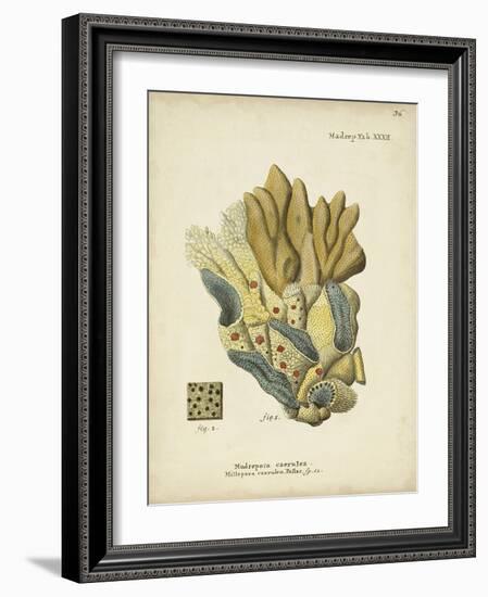 Ecru Coral III-Johann Esper-Framed Art Print