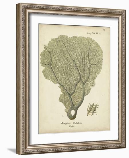 Ecru Coral IV-Johann Esper-Framed Art Print