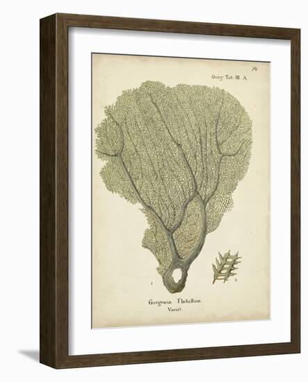 Ecru Coral IV-Johann Esper-Framed Art Print