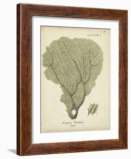 Ecru Coral IV-Johann Esper-Framed Art Print