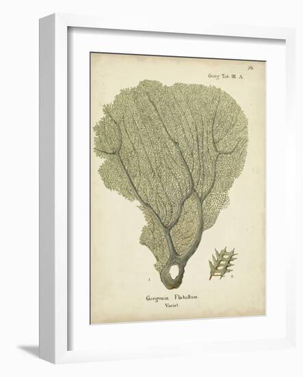 Ecru Coral IV-Johann Esper-Framed Art Print