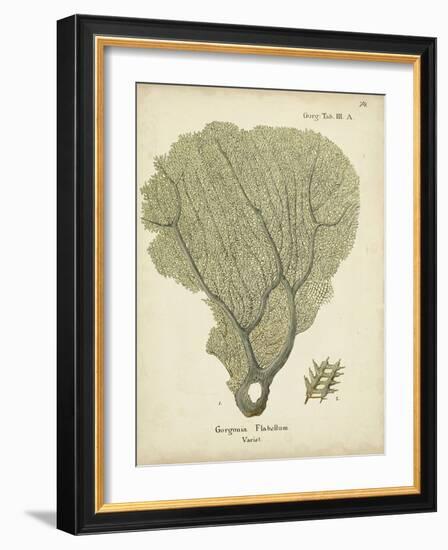 Ecru Coral IV-Johann Esper-Framed Art Print