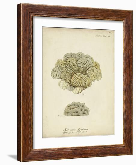 Ecru Coral V-Johann Esper-Framed Art Print