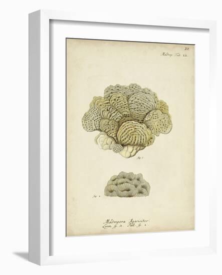 Ecru Coral V-Johann Esper-Framed Art Print