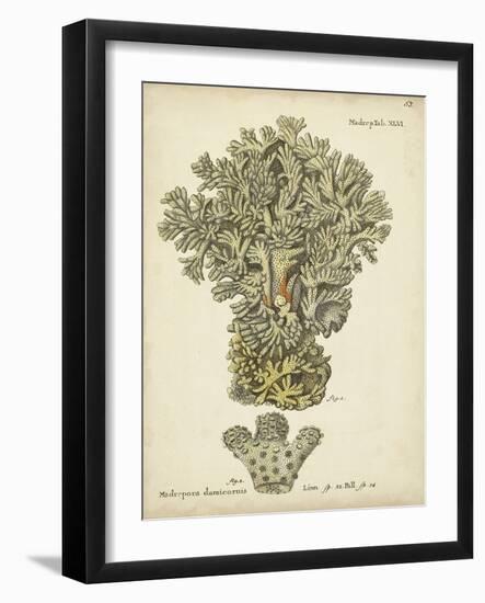 Ecru Coral VI-Johann Esper-Framed Art Print