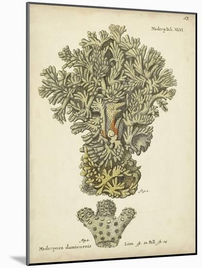 Ecru Coral VI-Johann Esper-Mounted Art Print