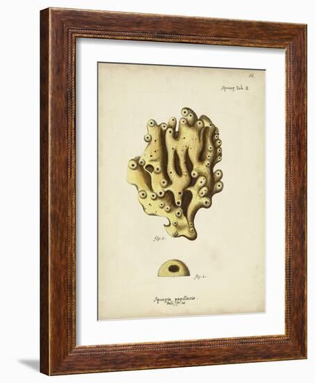 Ecru Coral X-Johann Esper-Framed Art Print