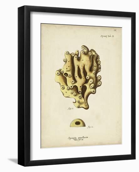 Ecru Coral X-Johann Esper-Framed Art Print
