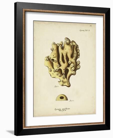 Ecru Coral X-Johann Esper-Framed Art Print