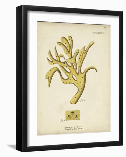 Ecru Coral XII-Johann Esper-Framed Art Print