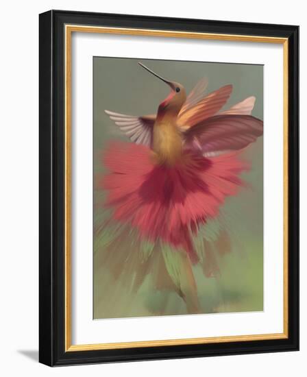 Ecstasy of Flight-Ruth Day-Framed Giclee Print