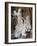 Ecstasy of St. Theresa-Giovanni Lorenzo Bernini-Framed Giclee Print