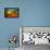 Ectasy II-Bonita Williams Goldberg-Framed Premier Image Canvas displayed on a wall