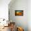 Ectasy II-Bonita Williams Goldberg-Framed Premier Image Canvas displayed on a wall
