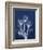 Ecto Indigo Tulips-Albert Koetsier-Framed Photo