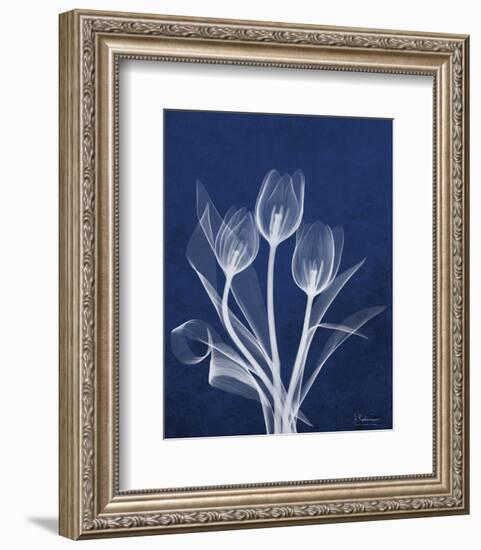 Ecto Indigo Tulips-Albert Koetsier-Framed Photo