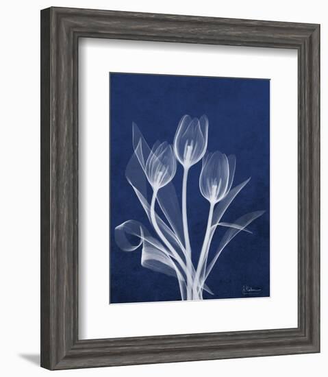 Ecto Indigo Tulips-Albert Koetsier-Framed Photo