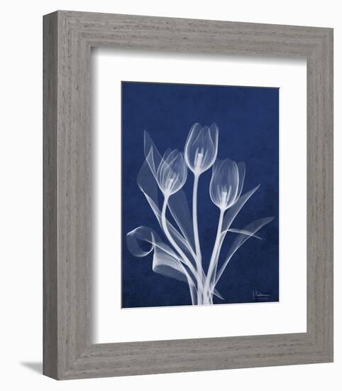 Ecto Indigo Tulips-Albert Koetsier-Framed Photo