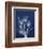 Ecto Indigo Tulips-Albert Koetsier-Framed Photo