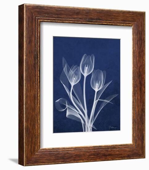 Ecto Indigo Tulips-Albert Koetsier-Framed Photo