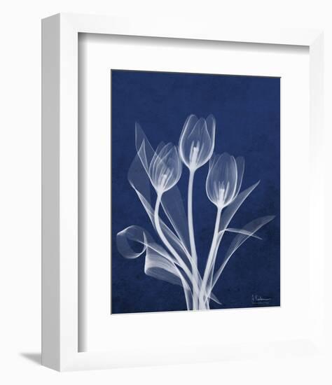 Ecto Indigo Tulips-Albert Koetsier-Framed Photo