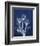 Ecto Indigo Tulips-Albert Koetsier-Framed Photo