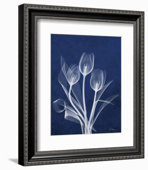 Ecto Indigo Tulips-Albert Koetsier-Framed Photo