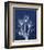 Ecto Indigo Tulips-Albert Koetsier-Framed Photo