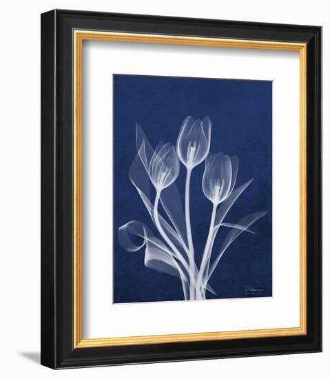 Ecto Indigo Tulips-Albert Koetsier-Framed Photo