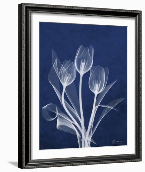 Ecto Indigo Tulips-Albert Koetsier-Framed Photo