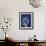 Ecto Indigo Tulips-Albert Koetsier-Framed Photo displayed on a wall