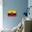 Ecuador Flag Design with Wood Patterning - Flags of the World Series-Philippe Hugonnard-Art Print displayed on a wall