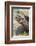 Ecuador, Galapagos Islands, Charles Darwin Research Center, Galapagos Giant Tortoise-Ellen Goff-Framed Photographic Print