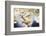 Ecuador, Galapagos Islands, Espanola, Punta Suarez,. Waved Albatrosses Interacting-Ellen Goff-Framed Photographic Print