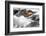 Ecuador, Galapagos Islands, Fernandina, Punta Espinoza-Ellen Goff-Framed Photographic Print