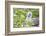 Ecuador, Galapagos Islands, Genovesa, Darwin Bay Beach, Red-Footed Booby Perching in Foliage-Ellen Goff-Framed Photographic Print