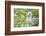 Ecuador, Galapagos Islands, Genovesa, Darwin Bay Beach, Red-Footed Booby Perching in Foliage-Ellen Goff-Framed Photographic Print